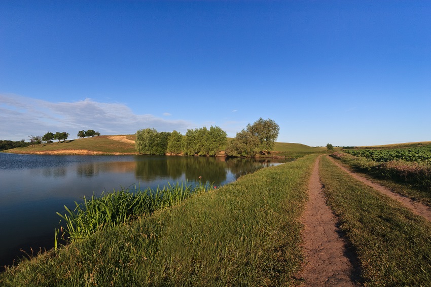 rural road on the edge of a lake