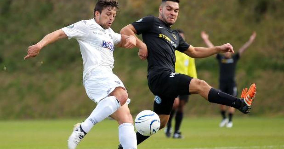 Team Wellington captain Justin Gulley back from All Whites duty for final